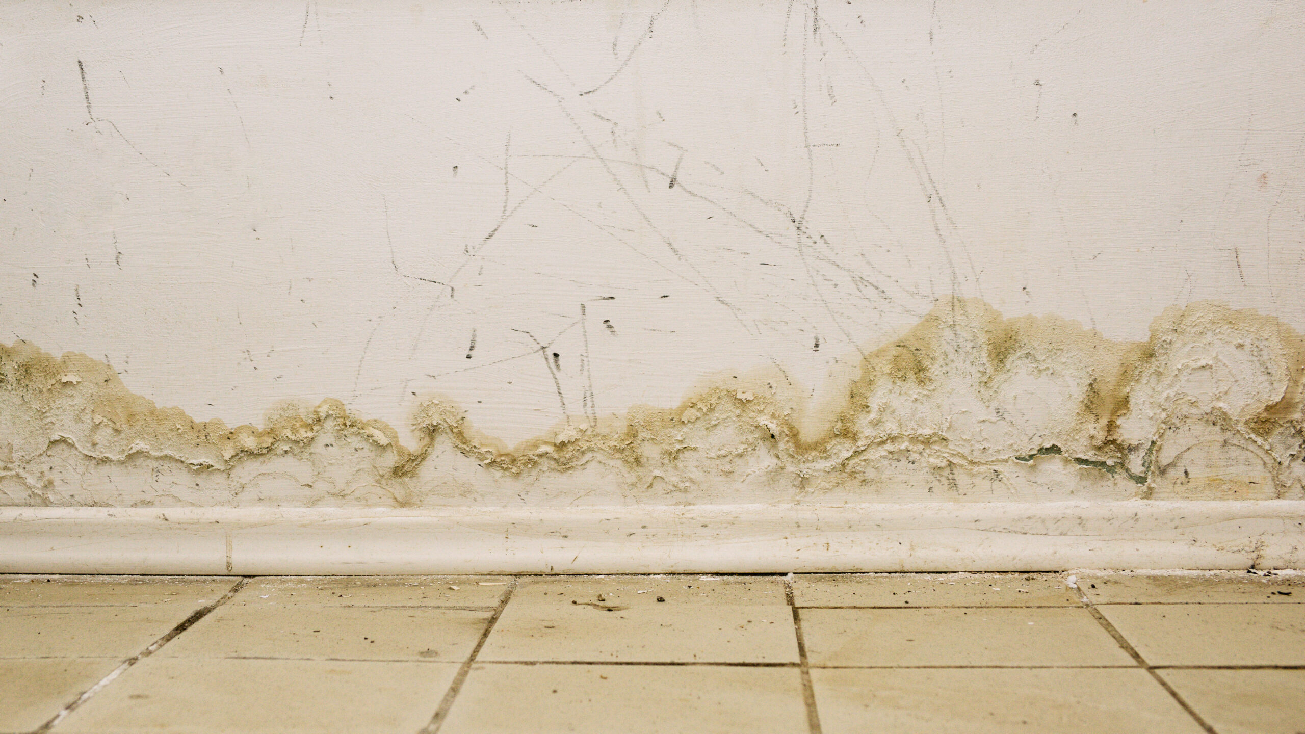 Mold and water damage due to basement flooding is sometimes observed during our home inspections.